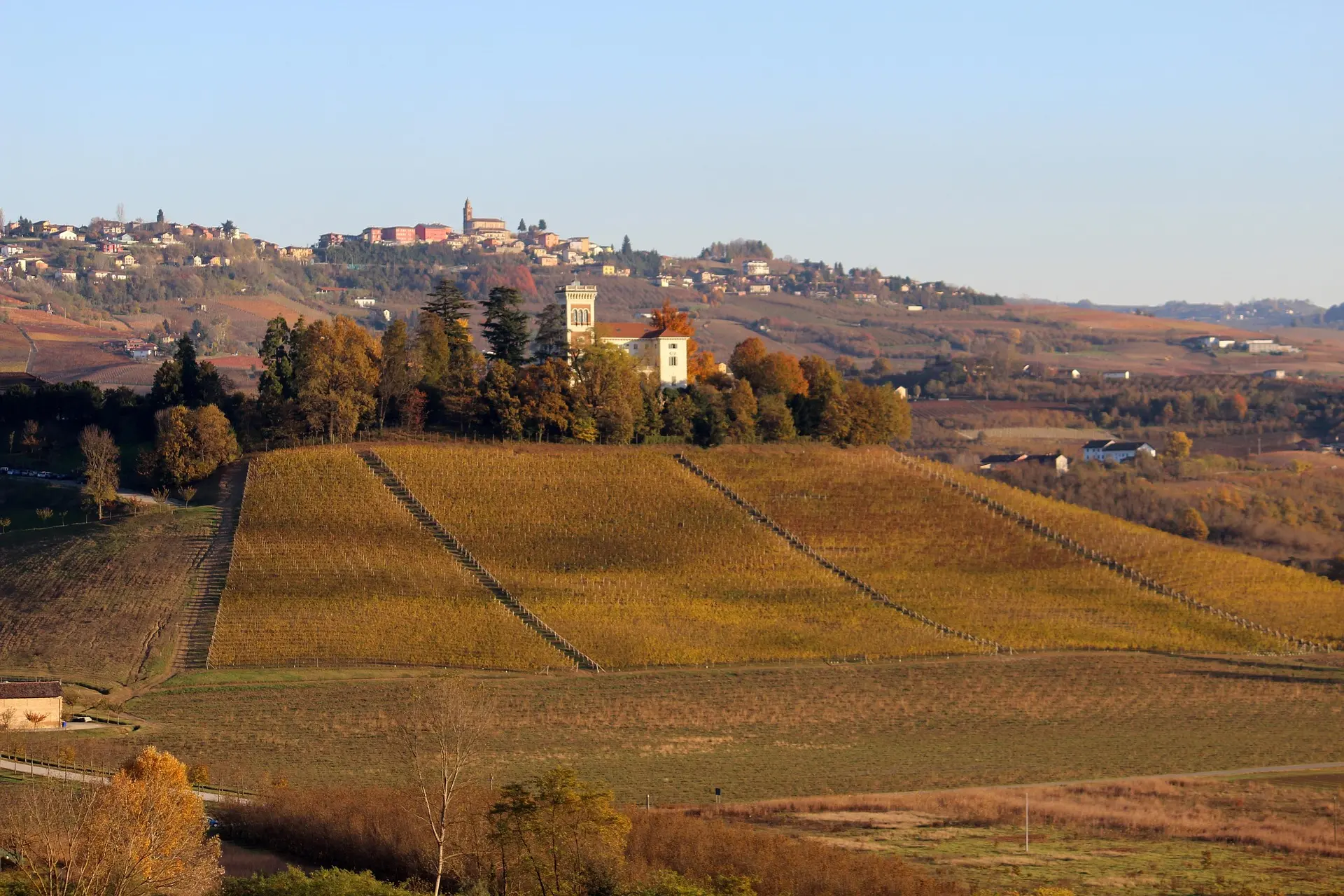 langhe-4836566_1920