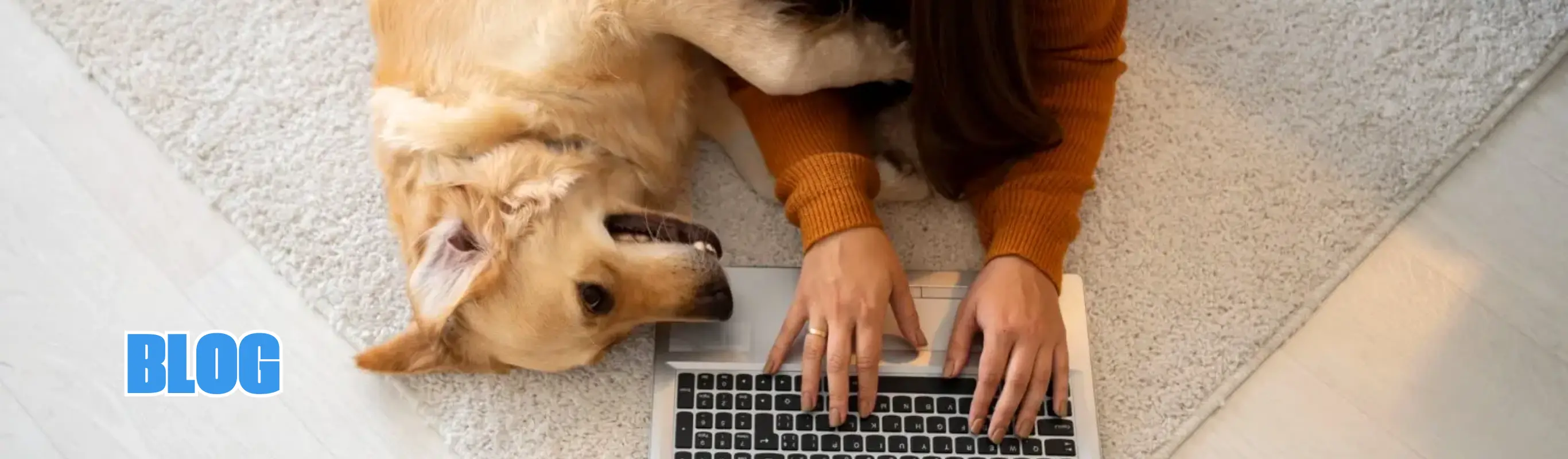 Offerte Slider DMD (4)