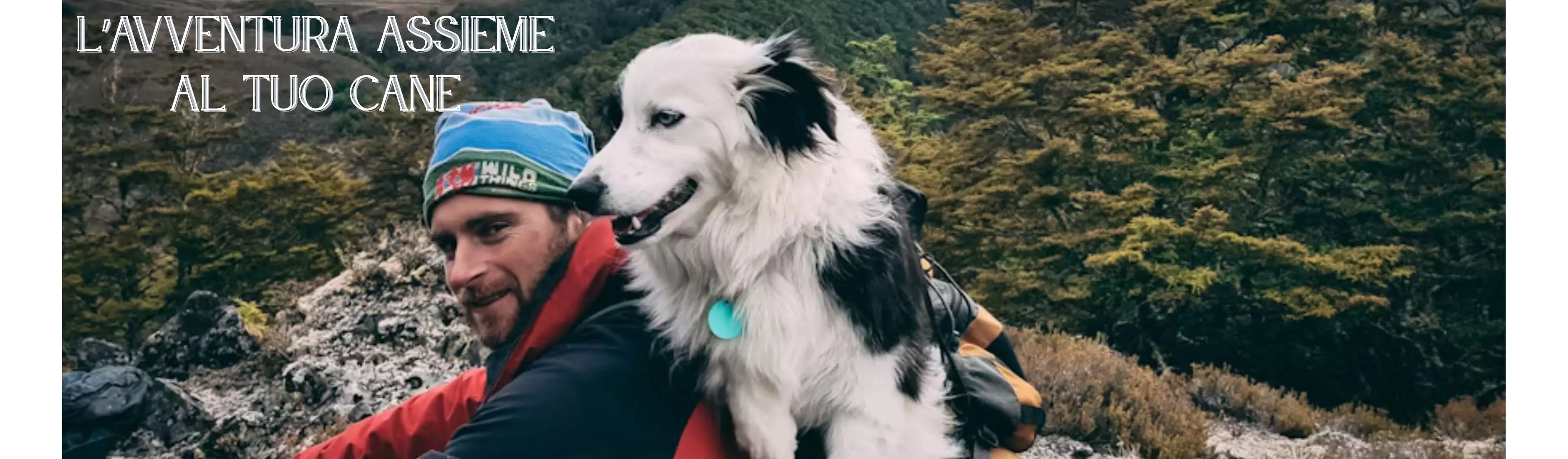 Aggiungi un sottotitolo