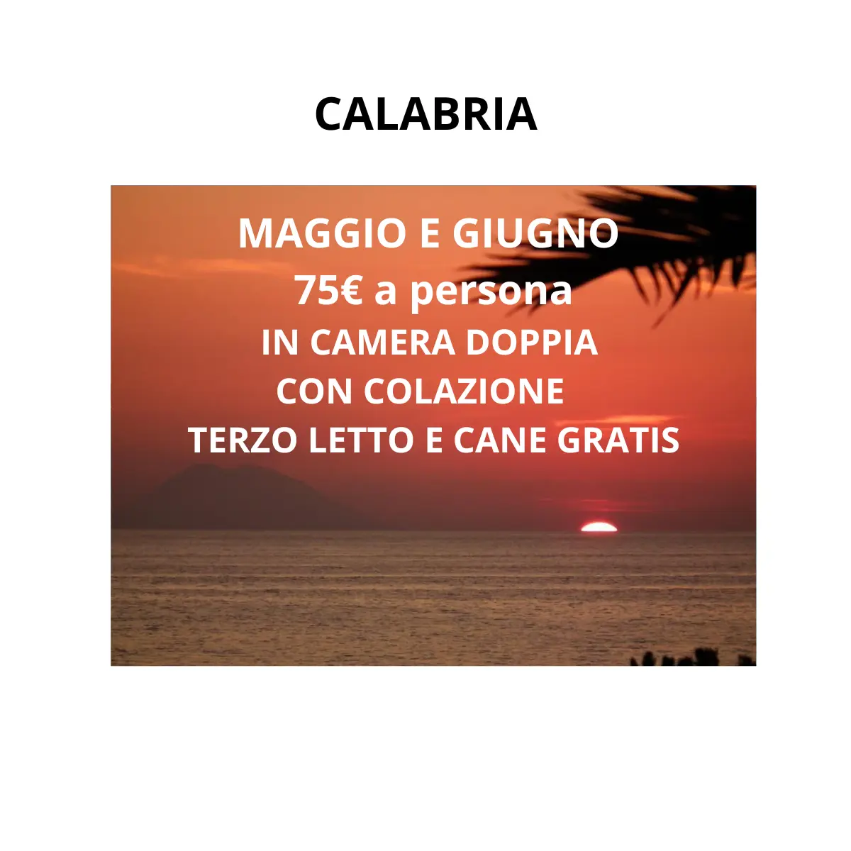 Senza titolo (1200 x 1200 px)