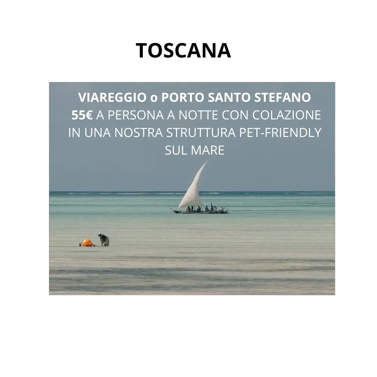 Senza titolo (1200 x 1200 px)