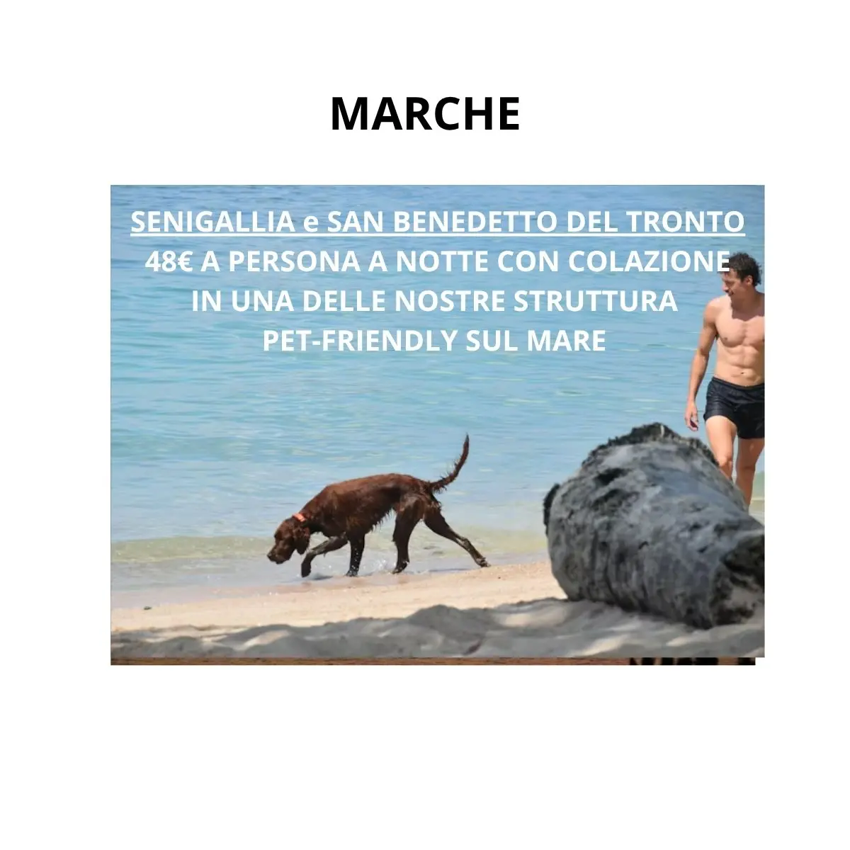 Senza titolo (1200 x 1200 px)